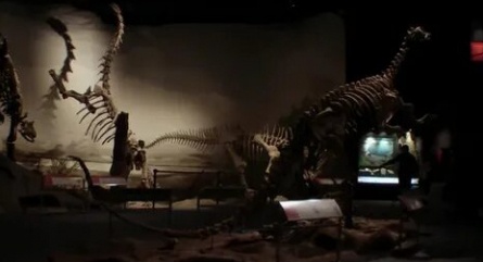 Патагония 3D: По следам Дарвина кадры