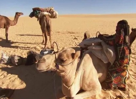 Планета людей Равнины. Источники силы кадры