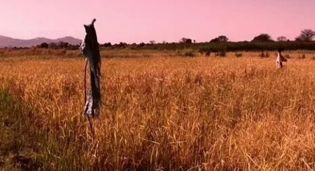 Планета людей Равнины. Источники силы кадры