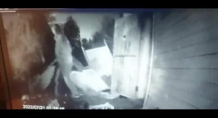 Плейбоевская звезда чуть не убила любовника кадры