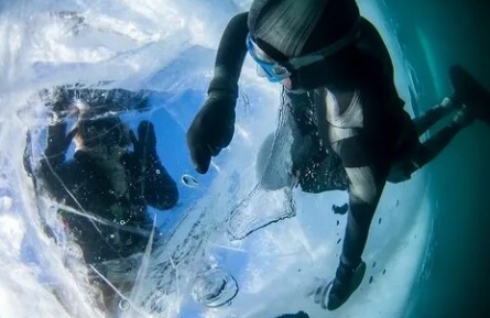 Подледный мир кадры