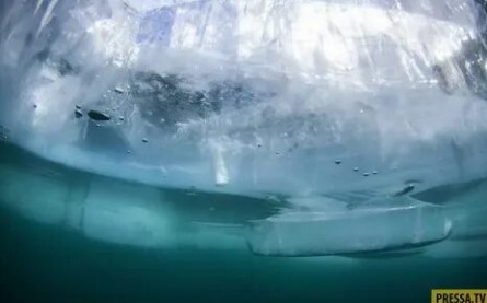 Подледный мир кадры