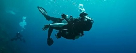 Подводный капкан кадры Подводный капкан кадры