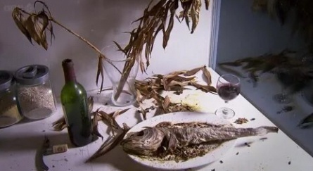 После смерти: Загадочная наука разложения кадры