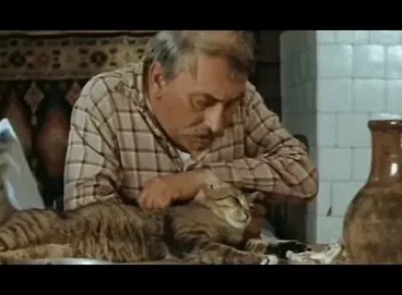Повод кадры