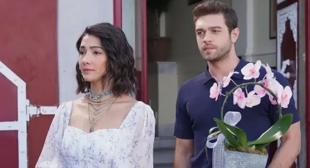 Повсюду ты кадры