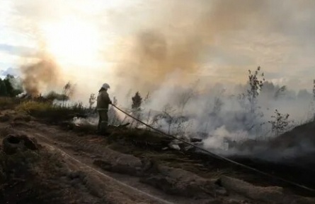 Пожар на помойке кадры Пожар на помойке кадры