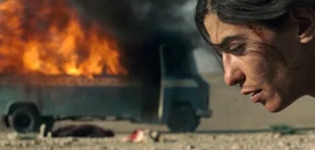 Пожары кадры