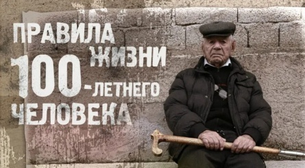 Правила жизни 100-летнего человека кадры Правила жизни 100-летнего человека кадры