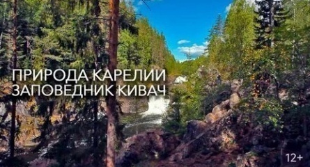 Природа Карелии. Заповедник Кивач кадры Природа Карелии. Заповедник Кивач кадры