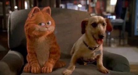 Про кота... кадры