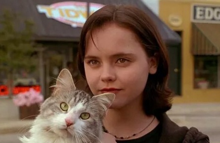 Про кота... кадры