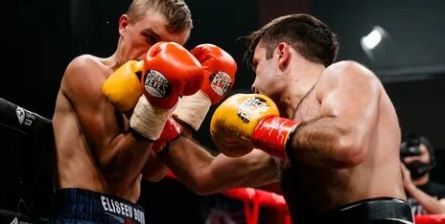 Профессиональный бокс кадры