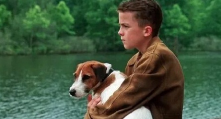 Прогулки с моей собакой кадры