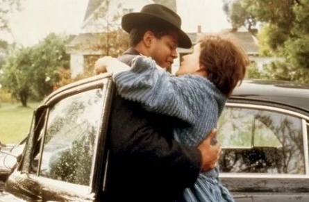 Птица кадры Птица кадры