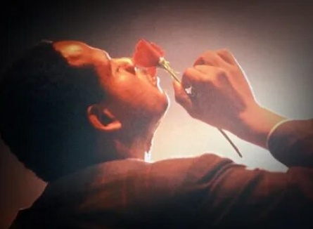 Птица кадры Птица кадры