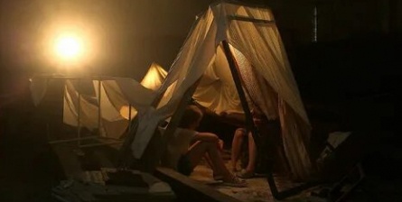 Птичка кадры Птичка кадры