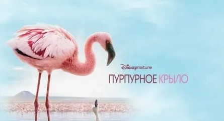 Пурпурные крылья: Тайна фламинго кадры