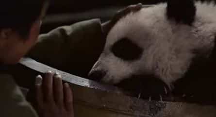 Путь панды кадры Путь панды кадры