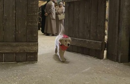 Пятерка кладоискателей кадры Пятерка кладоискателей кадры