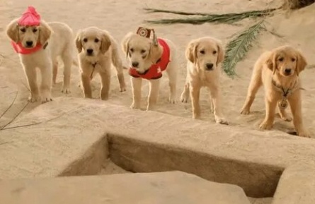 Пятерка кладоискателей кадры Пятерка кладоискателей кадры