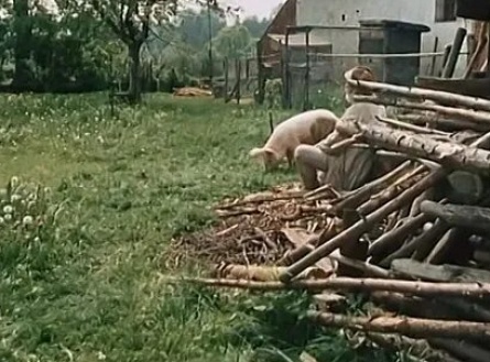 Радужный шарик кадры Радужный шарик кадры