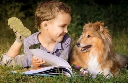 Ребята и зверята кадры