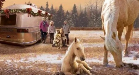 Рождественский жеребёнок кадры Рождественский жеребёнок кадры
