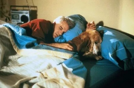 Руководство для одиноких мужчин кадры