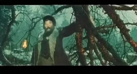 Русский лес кадры Русский лес кадры