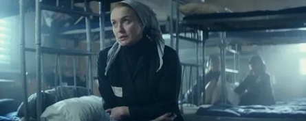 Рыжик кадры Рыжик кадры