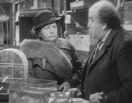 Саботажник кадры