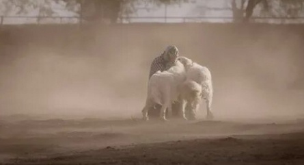 Самая большая маленькая ферма кадры