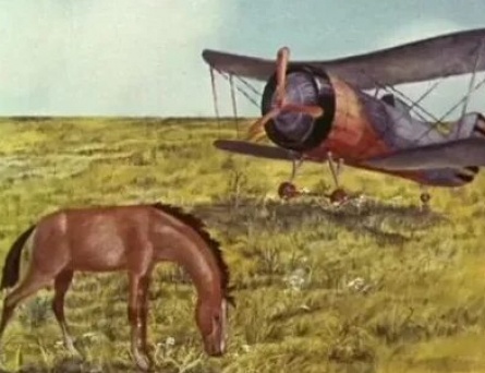 Самолетик кадры Самолетик кадры