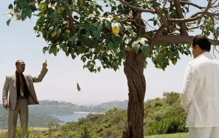 Сантра и говорящие деревья кадры