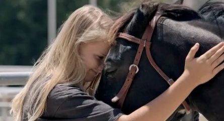 Сердца чемпионов кадры