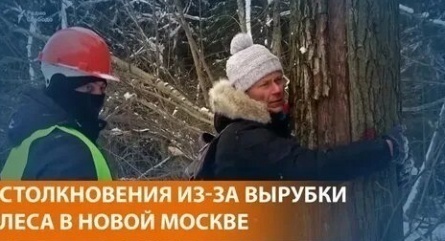 Сергей Троицкий желает вырубки леса кадры