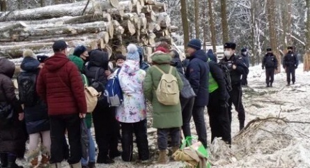 Сергей Троицкий желает вырубки леса кадры