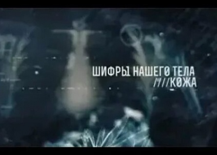 Шифры нашего тела кадры Шифры нашего тела кадры