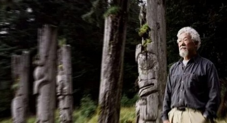 Сила природы кадры