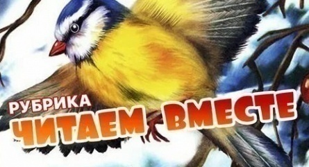 Синичкин календарь. Зима кадры Синичкин календарь. Зима кадры