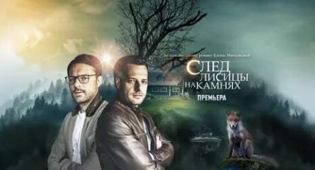 След лисицы на камнях кадры