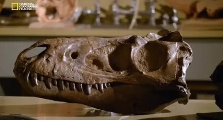 Смертельный бой динозавров кадры