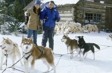 Снежные псы кадры Снежные псы кадры