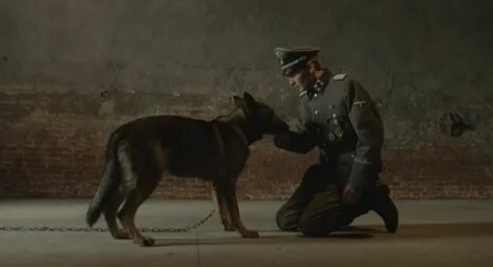 Собаки и мы кадры