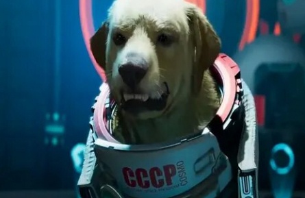 Собаки в космосе кадры Собаки в космосе кадры