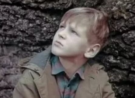 Сочинение кадры