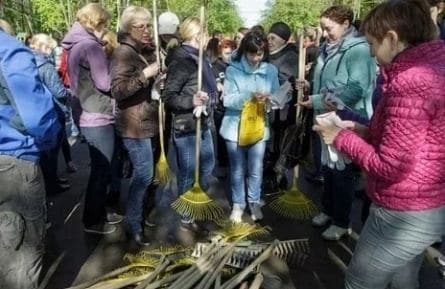 Субботник кадры Субботник кадры