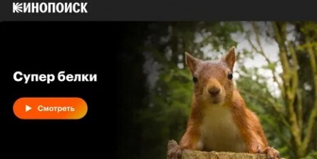 Супер белки кадры