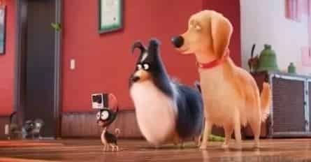 Тайная жизнь собак кадры